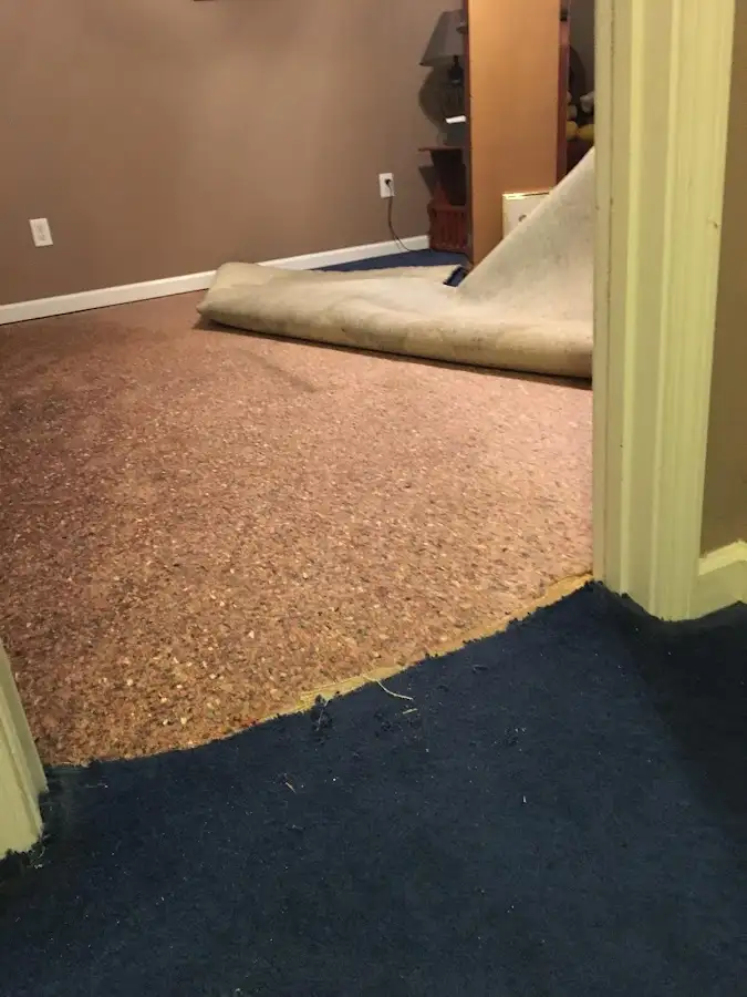 Carpet pad removal revealing water damage during Water Mitigation Services in Cleveland Heights