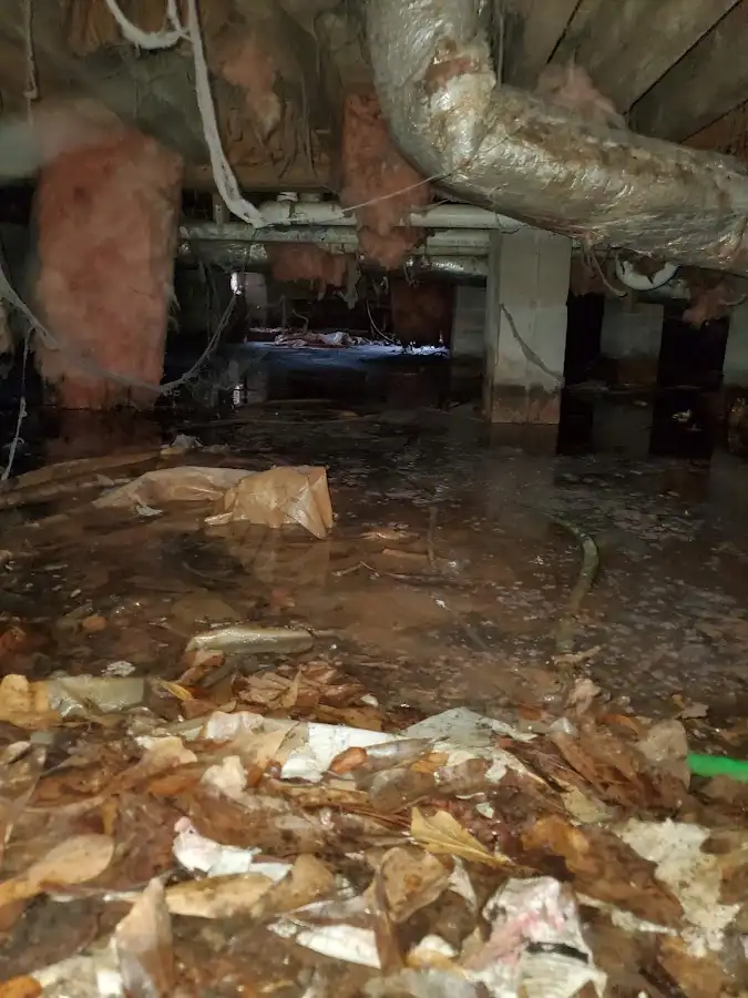 Crawl space flood assessment for Leak Detection & Repair in Cleveland Heights